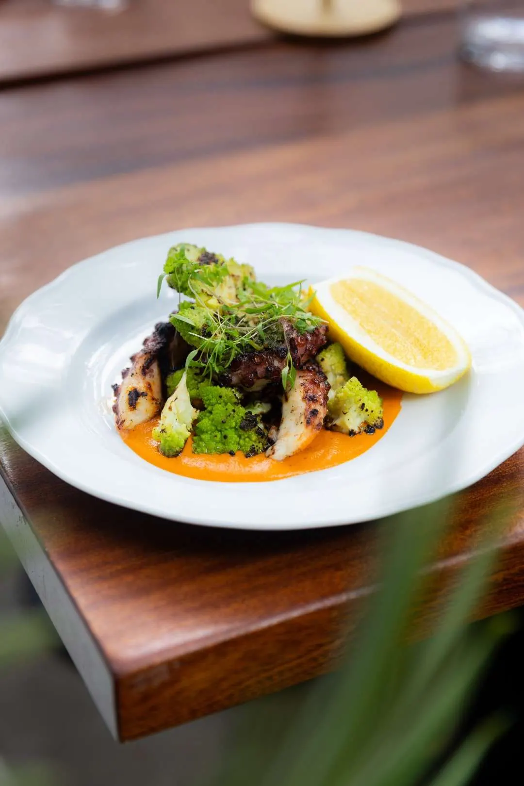 Grilled octopus with greens and lemon on a white plate